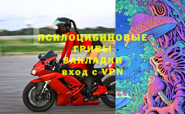 мдпв Белокуриха