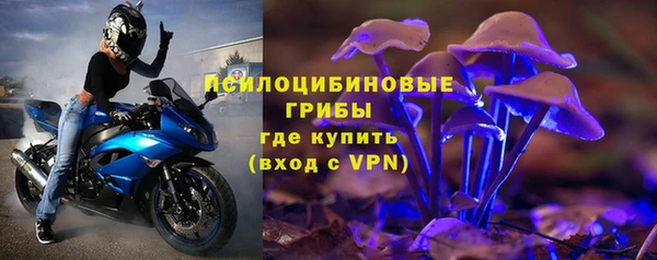 мдпв Белокуриха