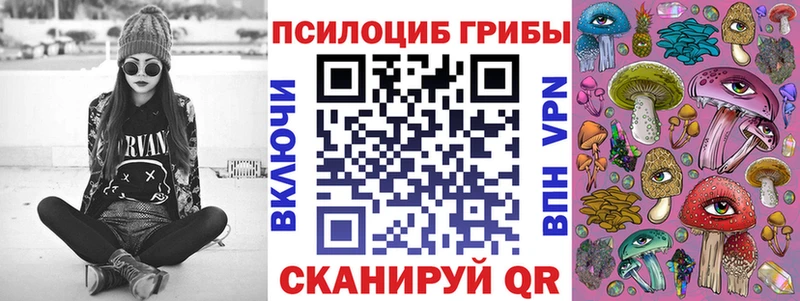 Галлюциногенные грибы ЛСД  ссылка на мегу ONION  Светлогорск 